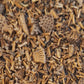 grayheaded coneflower, seed