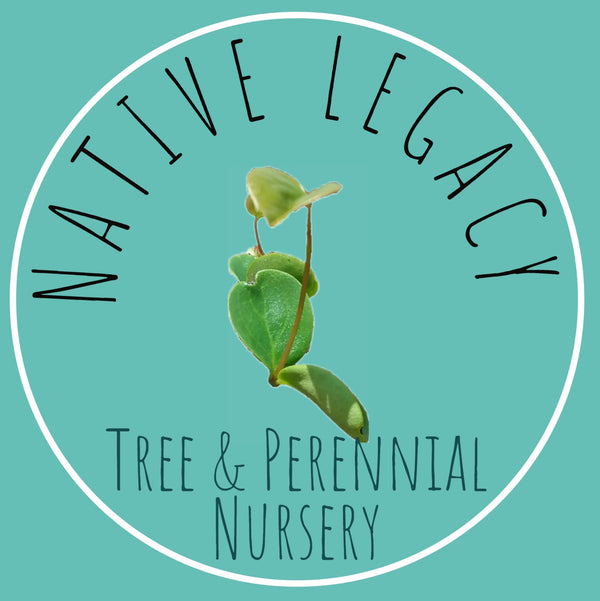 Native Legacy Tree and Perennial Nursery, L.L.C.