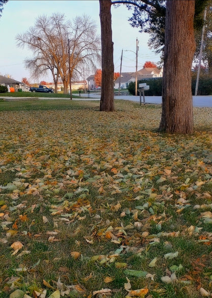 Leaf Rescue
