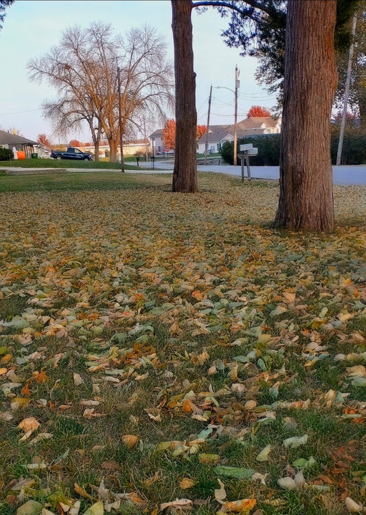 Leaf Rescue